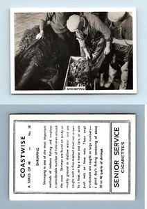 Shrimping #38 Coastwise 1938 Senior Service Cigarette Card - Picture 1 of 1