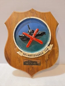 USN HS-10 Warhawks HELANTISUBRON TEN Plaque from 1970 Vintage Service Plaque 12" - Picture 1 of 6