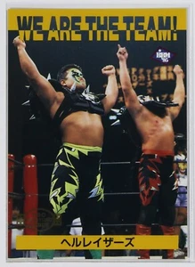 HELLRAISERS - 1995 BBM Pro-Wrestling Trading Card - Picture 1 of 3