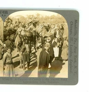 B2402 Keystone V7345T Ein Wohnwagen von Kamelen nähert sich Jaffa Palästina D - Bild 1 von 2