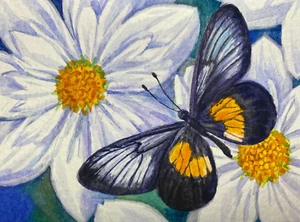 Watercolor Painting Butterfly Insect Flowers Nature ACEO Art No.276 - Picture 1 of 2