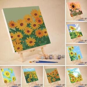 DIY Digital Oil Paint Canvas Painting By Number With Frame Gifts U8U E5R6