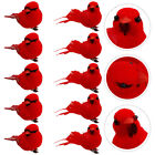 10 Pcs Weihnachten Roter Vogel Anhänger Schaum Vogelfiguren Für Den Garten