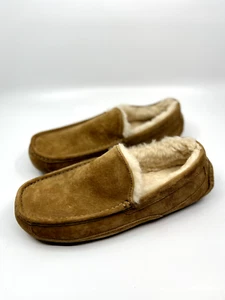 Zapatilla de gamuza UGG Ascot 1101110 castaño para hombre 100 % auténtica nueva - Imagen 1 de 7