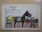 Postcard Addled Ads Wanted Man To Look After Horse Posted 1904 (C5)