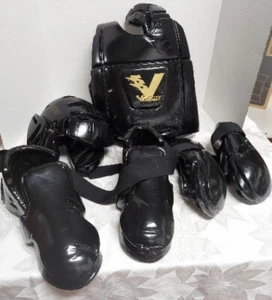 Proforce Velocity Chest, Head, Hands, And Feet Martial Art Guard With Bag Black - Picture 1 of 9