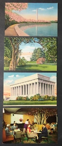Washington DC Postcards Lincoln Memorial Cherry Blossoms Grounds Manger Hamilton - Picture 1 of 4