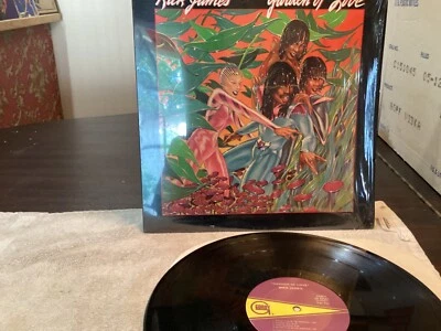 Rick James Garden of Love vinyl lp G8 995M1 VG GORDY Foto 1 de 2