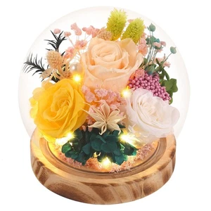 Ewige Rosenblüten, einzigartige Rose konservierte Blume Rose Geschenke in Glaskuppel f... - Bild 1 von 9