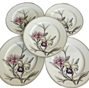 S/5 Vintage Grace China Japan Charleston Dinner Plates 10.75"D - Picture 1 of 5