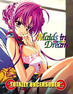 Adult Pin-Up Promo Poster 11X14: Hentai Maids In Dream Anime - Picture 1 of 1