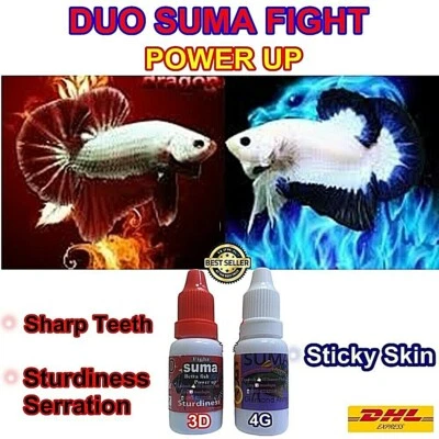 DUO SUMA Fight Power Up Betta Fighter Furious Teeth Sharp Fangs and Sticky Skin - Image 1 of 4