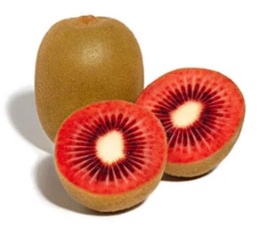 Actinidia arguta (ROTE KIWI) - Rote Kiwipflanze | winterharte Kiwi - Bild 1 von 2