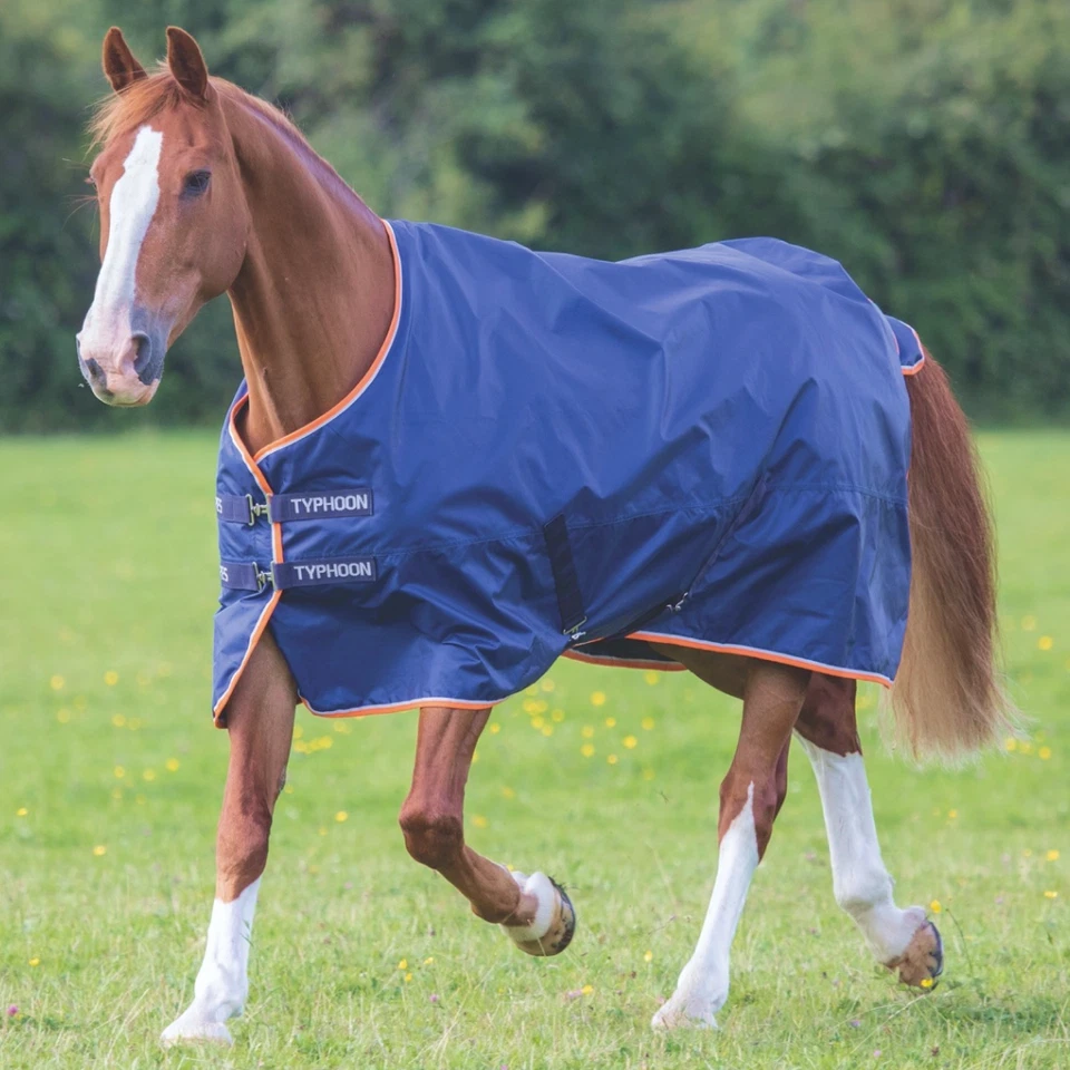 Shires Typhoon 100g Turnout Rug - Image 1 of 1