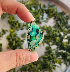 Cáscara de abulón, cáscara de abulón natural, piedra suelta, piedra preciosa hecha a mano, elegante - Imagen 1 de 5