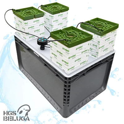 Hydroponisches Bewässerungssystem | Gebo Gefti hydroponics | 63 Liter | Grow