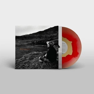 David Sylvian Alchemy: An Index of Possibilities (Vinyl) (UK IMPORT) - Picture 1 of 1