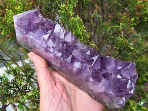 Cristal Amatista Curativo Cluster Punto Grande Intuición Natural Poder Piedra Se sienta - Imagen 1 de 24