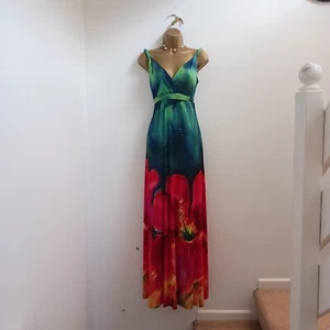 Ronni Nicole Dress UK 10 New Long Maxi Stretch Green Red Floral Summer Holiday - Picture 1 of 13