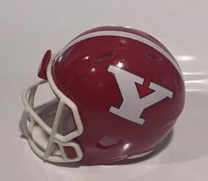 Riddell pocket pro football helmet Youngstown State Penguins CUSTOM - Picture 1 of 3