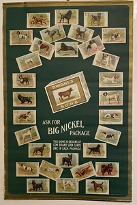 1905 Church & Dwight (Arm & Hammer)  Merchant Display Poster  Championship Dogs - Zdjęcie 1 z 2