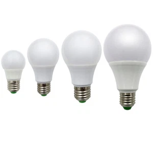 E27 LED Light Bulb 3W 5W 7W 9W 12W 15W Globe Lamp AC12V/DC12-24V Energy Saving T - Picture 1 of 11