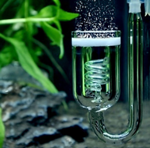 Aquarium Fish Tank Glass CO2 Diffuser Plants Solenoid Regulator Moss Atomizer