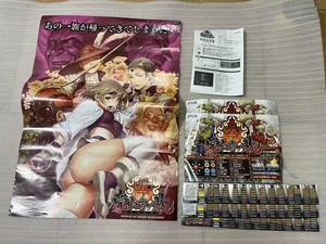 Taito Type X2 Power Instinct V Poster Artset - Picture 1 of 5
