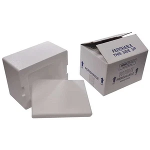 Insulated Shipping Box Bio Foam Cooler Carton 8x6x9 Styrofoam White 4 Pack - Picture 1 of 3