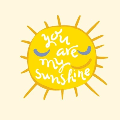 Washable T-shirt Iron-on Transfers - You are my Sunshine - image 1 of 4