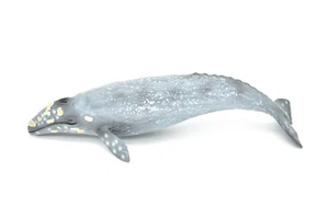 Gray Whale, Realistic Toy Model Plastic Replica Animal, Kids Gift 11" M032 - Picture 1 of 6
