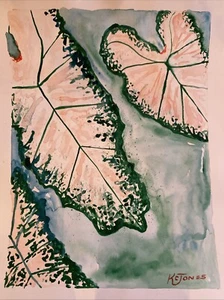 CALADIOS | Pintura de plantas rosa arte acuarela K C Jones Jardín Botánico - Imagen 1 de 6