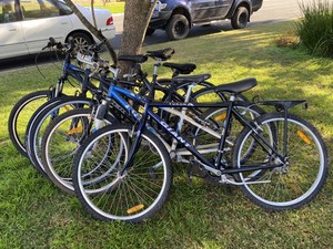 Giant Bikes for sale | Shop with 
