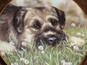 Danbury Mint Collectors Plate IN CLOVER From THE BORDER TERRIER - Picture 1 of 4