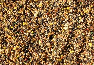 ABBA 1800 CANARY/FINCH TREAT AND SONG FOOD