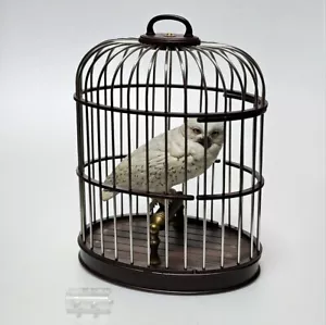 Figura Hedwig Harry Potter y la Piedra Filosofal Edición Premium Escala 1/6 - Imagen 1 de 7