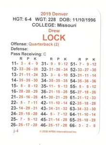 Juego de equipo de la temporada de fútbol americano APBA 2019 - DENVER BRONCOS - Imagen 1 de 5