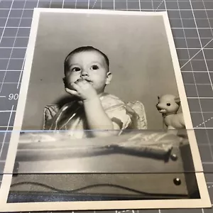 child eating cake lamb toy 50's Photograph - Picture 1 of 7