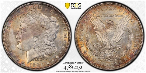 1886 P TONED $1 MORGAN SILVER DOLLAR PCGS AU Detail with Gold Shield & TrueView Cover