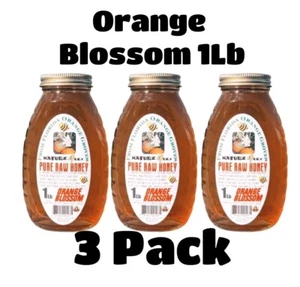 RAW HONEY ORANGE BLOSSOM HONEY 3 PACK 1LB 454g Each 100% PURE LOCAL - Picture 1 of 14