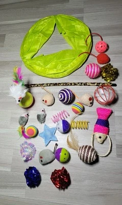 YOUNGEVER 🆕️Katzenspielzeug Set 25 teilig Bälle Mäuse Tunnel & Angel Katzen Interaktiv