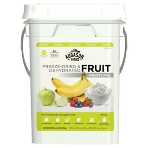 4 Gal Freeze Dried Fruit Variety Emergency Food Storage Survival Prep Pail NEW - Picture 1 of 11