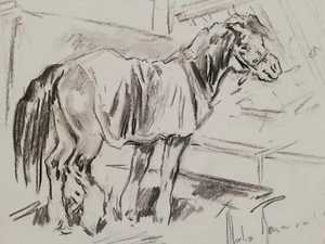 ALDO RAIMONDI: Raro Pezzo Unico di cm. 45x33, Firmato, Perfetto. STUPENDO!!! - Foto 1 di 5