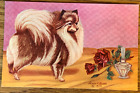 Der Pommersche Hund, A/S Lewis H. Larson, 1953 Postkarte