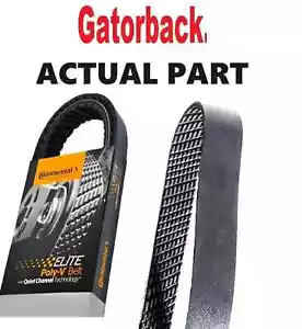 NEW Serpentine Poly-V Belt The Quiet Belt Gatorback CONTINENTAL ELITE 4080820 - Bild 1 von 3