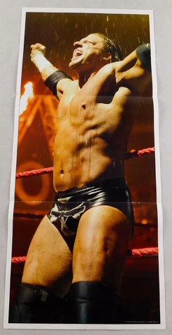 HHH Shawn Michaels Chris Benoit 10.5x24 WWE 2 Sided Poster Wrestler WCW WWF Cover