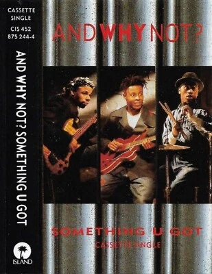 And Why Not? Something U Got cassette single Electronic Funk / Soul, Europop - Image 1 of 4