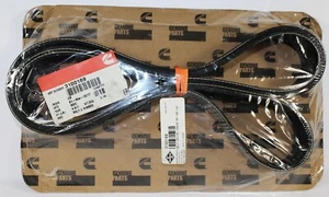 GENUINE CUMMINS BELT, V RIBBED 3100189 factory sealed - Bild 1 von 1