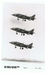 U.S. MARINE CORPS~VMA-231~McDONNELL DOUGLAS AV-8A~HARRIER~MCAS CHERRY POINT~1980 - Picture 1 of 1