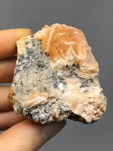 SELTENER Cerussit + Baryt 4,2oz Kristallpräparat Marokko N43 - Bild 1 von 12